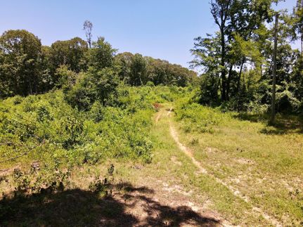 Timberland Property in Perry County, Arkansas