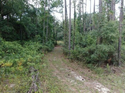 Land in Madison County, Florida