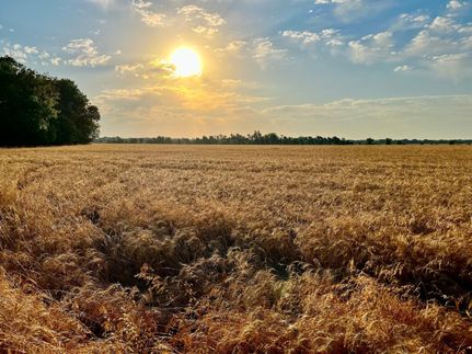 Farm and Ranch in Jasper County, Missouri