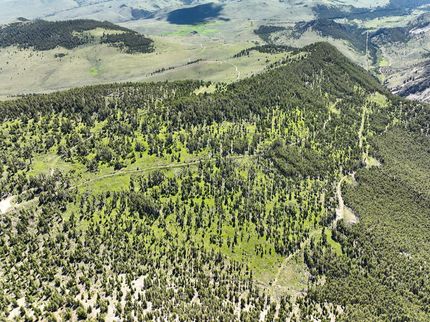 Timberland Property in Beaverhead County, Montana
