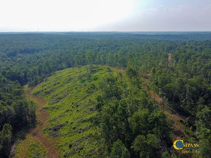 Timberland Property in Humphreys County, Tennessee