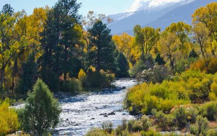 Undeveloped Land in Izard County, Arkansas