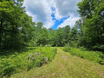Timberland Property in Midland County, Michigan