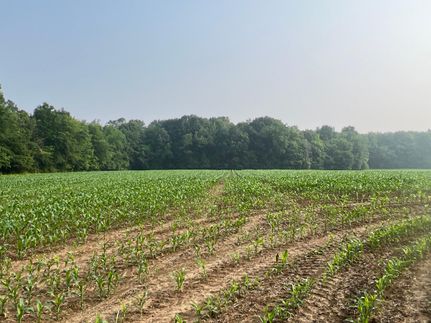 Land in Lorain County, Ohio