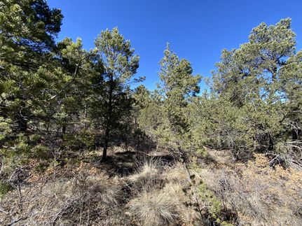 Farm and Ranch in Otero County, New Mexico