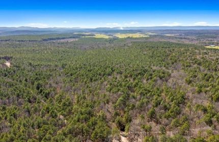 Undeveloped Land in McCurtain County, Oklahoma