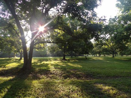 Undeveloped Land in Thomas County, Georgia