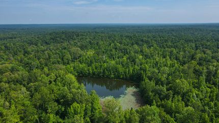 Recreational Property in Claiborne County, Mississippi