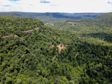 Undeveloped Land in Carroll County, Arkansas