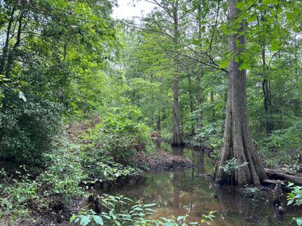 Recreational Property in Yalobusha County, Mississippi