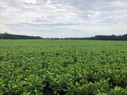 Farm and Ranch for sale in Greene County, North Carolina