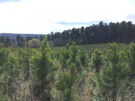 Recreational Property in Scott County, Arkansas