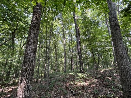 Hunting Property in Franklin County, Alabama
