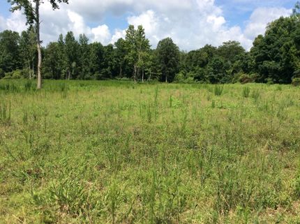 Timberland Property in Crenshaw County, Alabama
