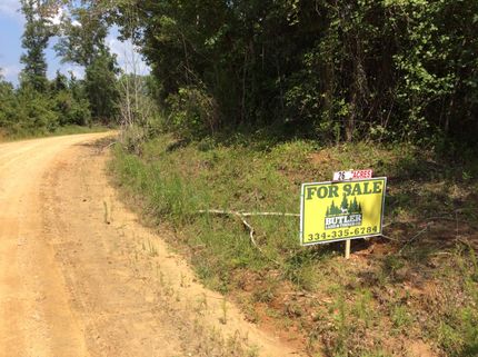 Recreational Property in Crenshaw County, Alabama