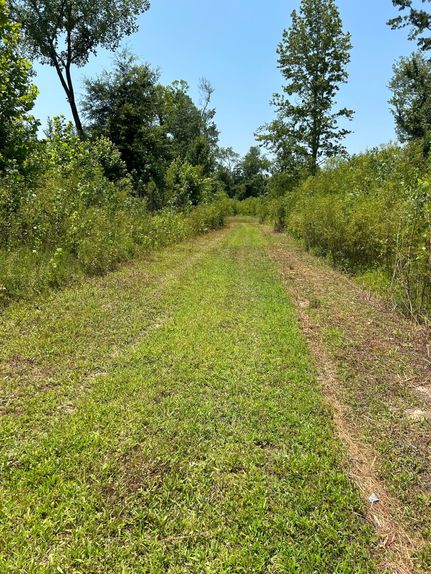 Lakefront Property in Claiborne County, Mississippi