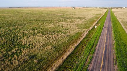 Undeveloped Land in Lamb County, Texas