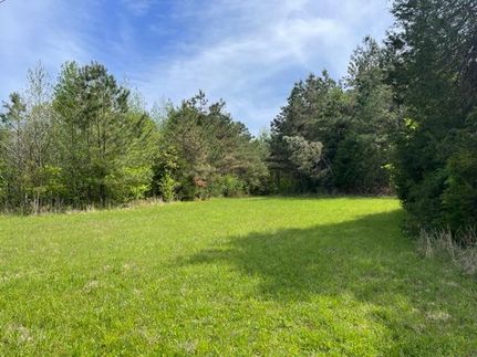 Hunting Property in Hardeman County, Tennessee