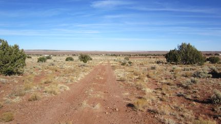 Undeveloped Land in Apache County, Arizona