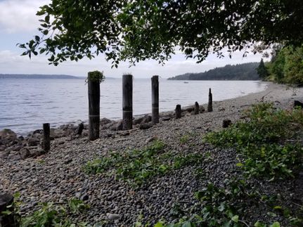 Undeveloped Land for sale in King County, Washington