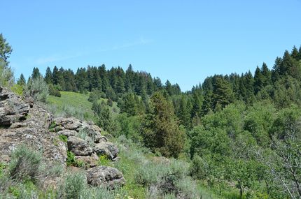 Timberland Property for sale in Fremont County, Idaho