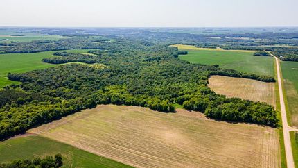 Farm and Ranch in Renville County, Minnesota