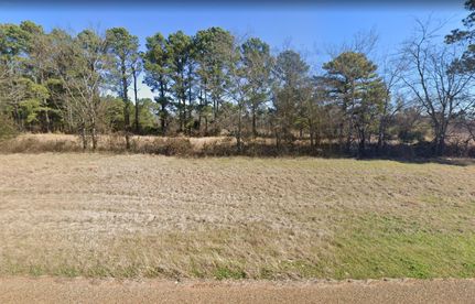 Undeveloped Land in Smith County, Texas