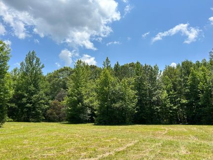 Timberland Property in Union County, Mississippi
