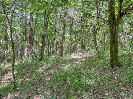 Land in Bowie County, Texas