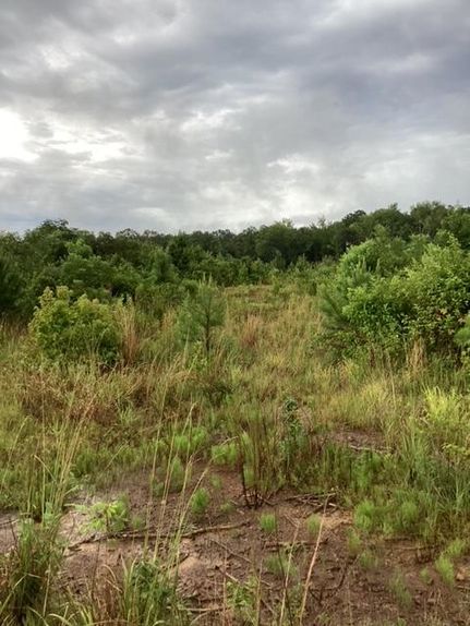 Farm and Ranch in Clarke County, Mississippi