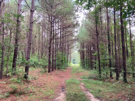 Recreational Property in Washington County, Alabama
