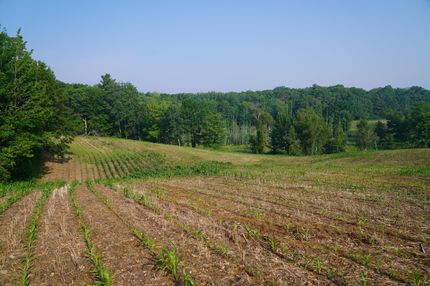 Recreational Property in Burnett County, Wisconsin