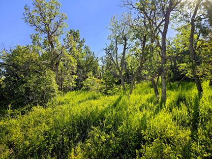 Timberland Property for sale in Sanpete County, Utah