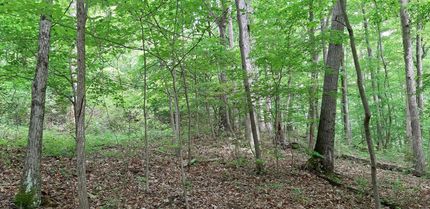 Farm and Ranch in Barbour County, West Virginia