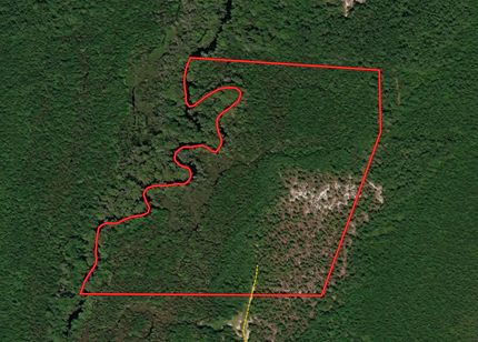 Timberland Property in Dillon County, South Carolina