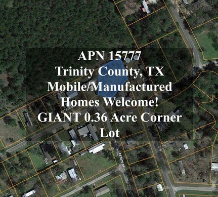 Undeveloped Land in Trinity County, Texas