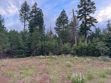 Undeveloped Land in Modoc County, California