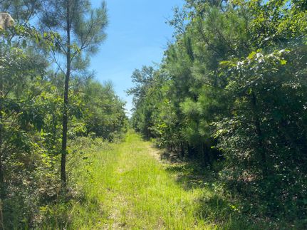 Land in Taylor County, Georgia