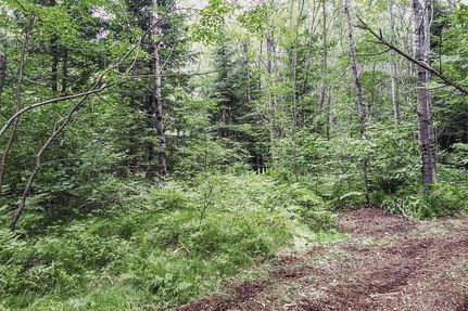 Farm and Ranch in Forest County, Wisconsin