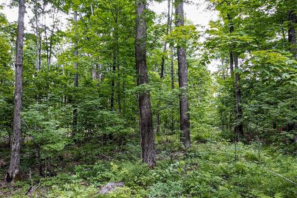 Land in Forest County, Wisconsin