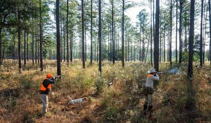 Hunting Property in Gadsden County, Florida