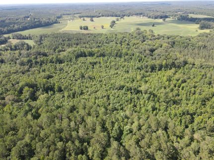 Commercial Property in Yalobusha County, Mississippi