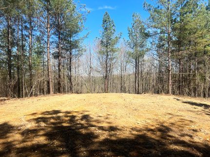Recreational Property in Scott County, Tennessee