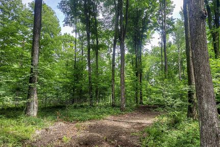 Farm and Ranch in Forest County, Wisconsin