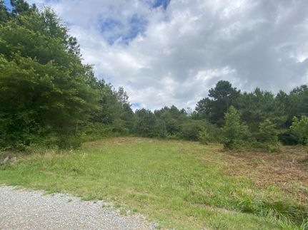 Timberland Property in Blount County, Alabama