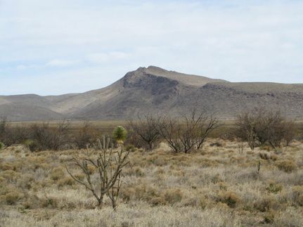 Timberland Property in Hudspeth County, Texas