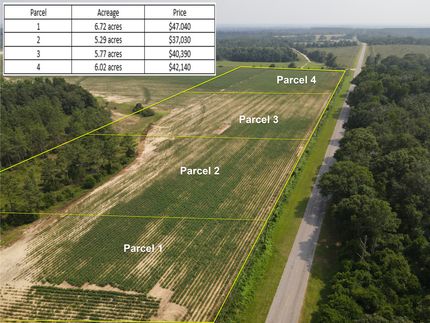 Recreational Property in Dale County, Alabama