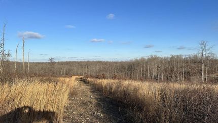 Recreational Property in Sharp County, Arkansas