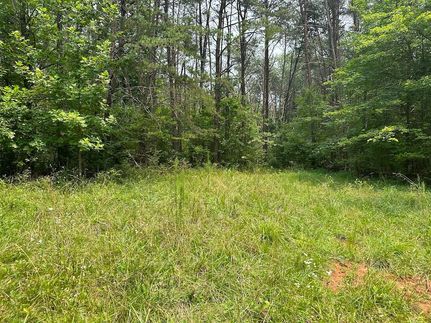 Undeveloped Land in Henry County, Virginia