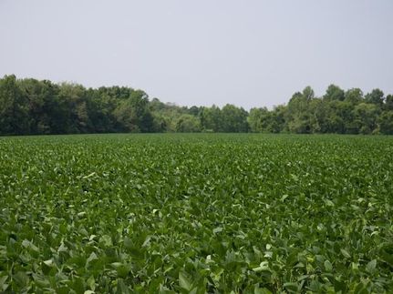 Farm and Ranch in Parke County, Indiana